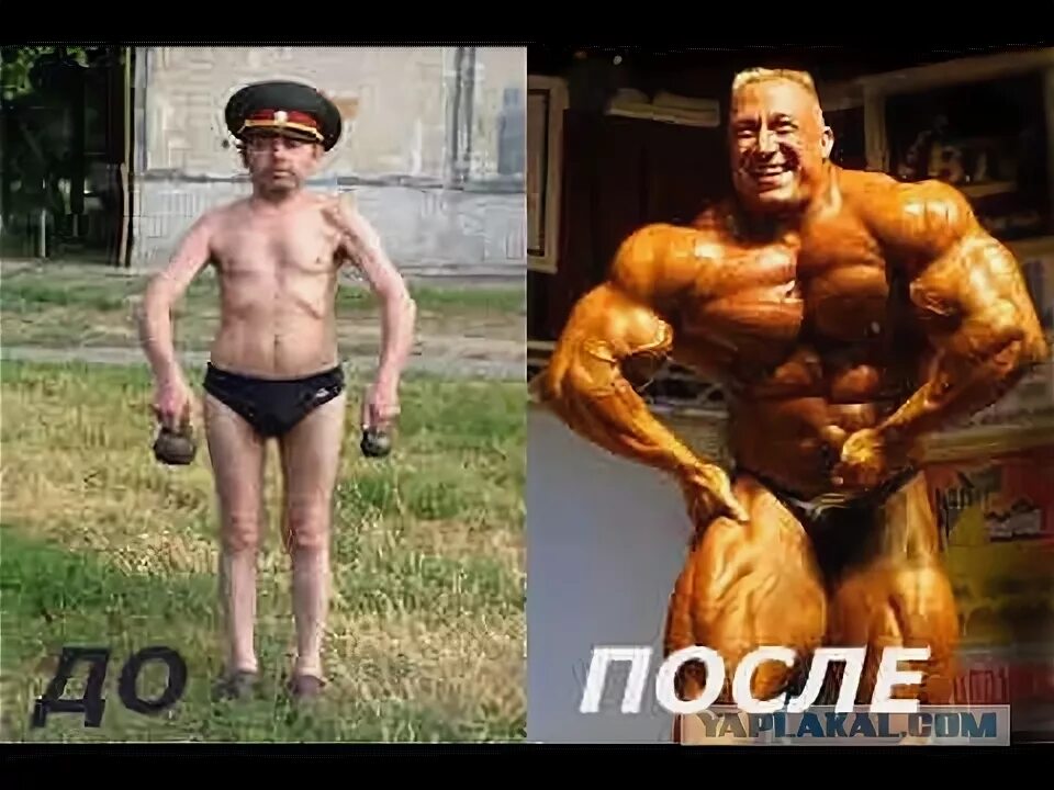 Качки до и после стероидов. Гормон роста до и после
