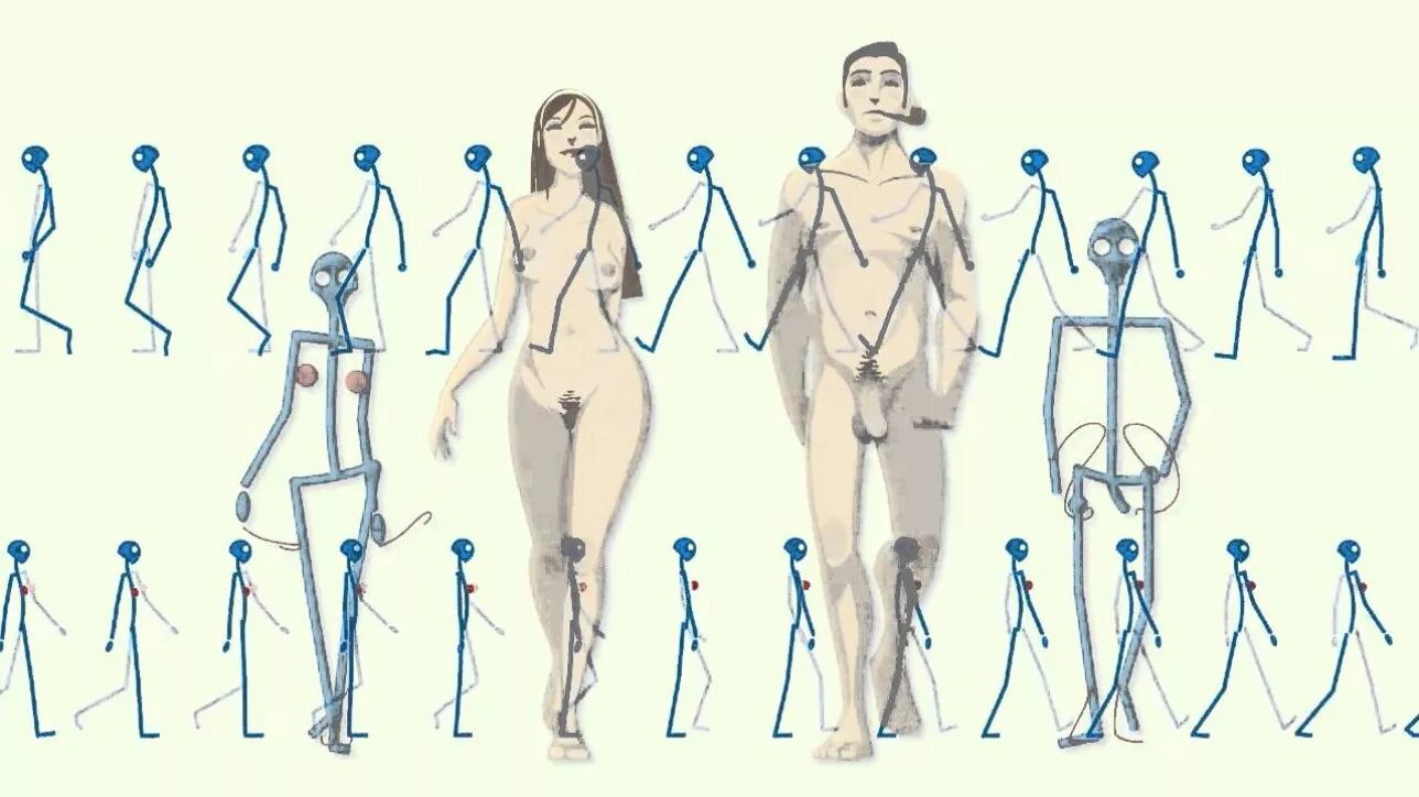 Ходьба спереди. Человек идёт референс перед. Схема ходьбы для анимации. Человек идет вид спереди референс. Рисование ходьбы.