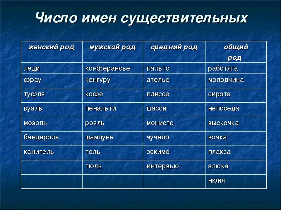Образа какого числа. Слова женского рода. Имя существительное мужского рода. Существительные среднего рода. Существительные среднего рода список.