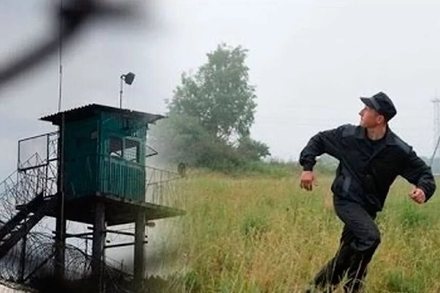 решетка тюрьма. побег осужденного. тюремная решетка. человек сбегает из тюрьмы. заключение под стражу.