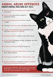 Bernama On Twitter Infographics Animal Abuse Offences Under Animal Welfare ...