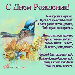 Поздравление с днем рождения птицы