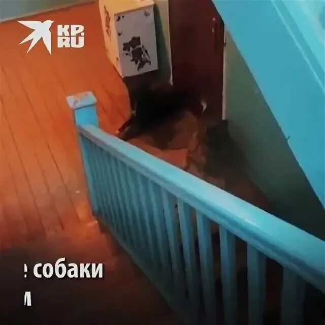 почему в подъезде холодно. подъезд во льду. нормы отопления жилых помещений в многоквартирных домах. замерзший подъезд. сосульки в квартире.