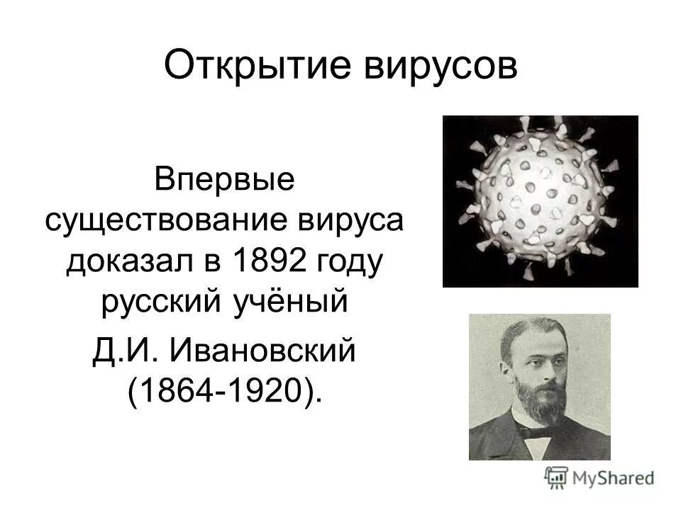 Кто первый открыл вирусы. Д.И Ивановский впервые существования вируса доказал. Открытие вирусов в биологии. Учёный открывший вирусы. Участники какой организации созданной в 1892 г