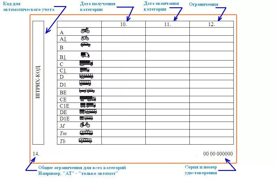 Открыть новую категорию. Категории водительских прав b b1 c c1 d m. Категории и подкатегории водительских удостоверений таблица. Категории водительских прав с расшифровкой m. Категории водительских прав с расшифровкой b,b1,m.