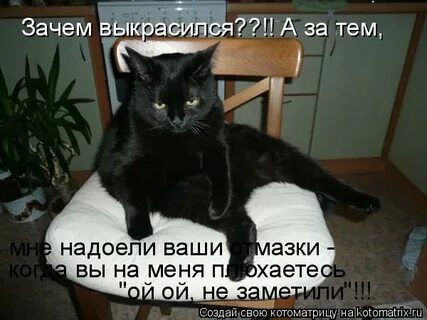 Ты мне надоела понимаешь