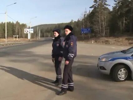 Гаи чита