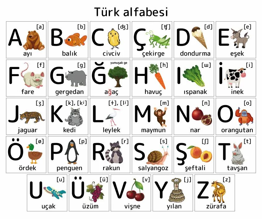 Турецкий язык для начинающих русский. Алфавит на турецком языке с транскрипцией и переводом. Турецкий алфавит с произношением. Турецкий алфавит с переводом на русский для начинающих. Алфавит турецкий с транскрипцией и переводом на русский.