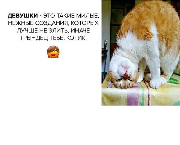 начудила юмор. год был трындец а ты молодец. открытка молодец. поздравляю ты молодец. ты молодец картинки.