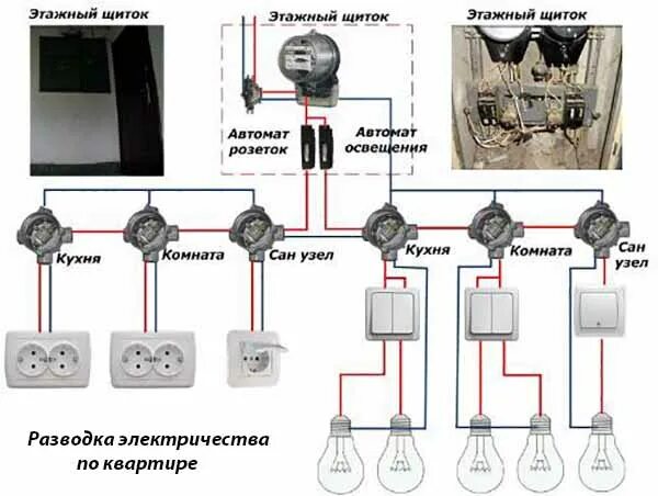 Схема разводки электропроводки в квартире от счетчика. Проводка схема подключения. Схема соединения квартирной электропроводки. Правильная схема подключения электропроводки.