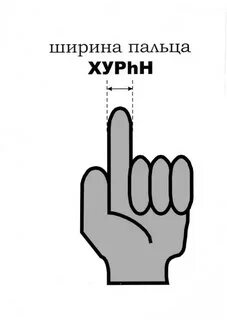 Ширина пальца