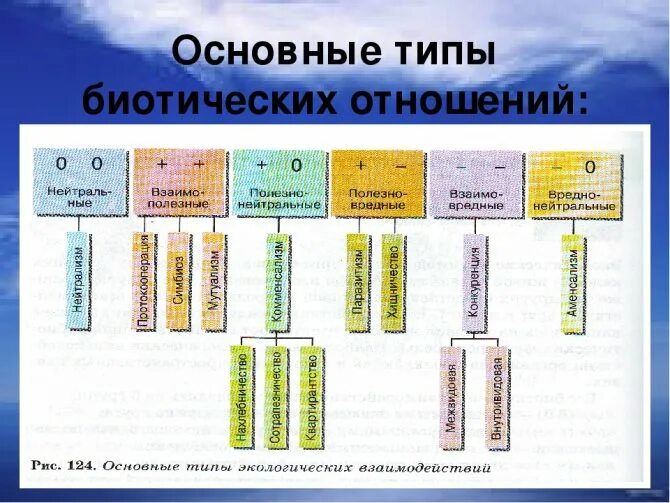 Тип биотических взаимоотношений организмов. Типы биотических взаимодействий организмов. Типы биотических взаимоотношений схема. Типы биотических видов взаимоотношений. Разделите типы взаимоотношений организмов на соответствующие группы