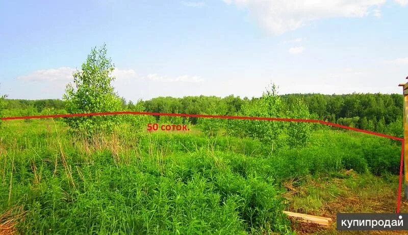 Продажа участка 50 соток по адресу городской округ Мытищи, деревня Румянцево по 
