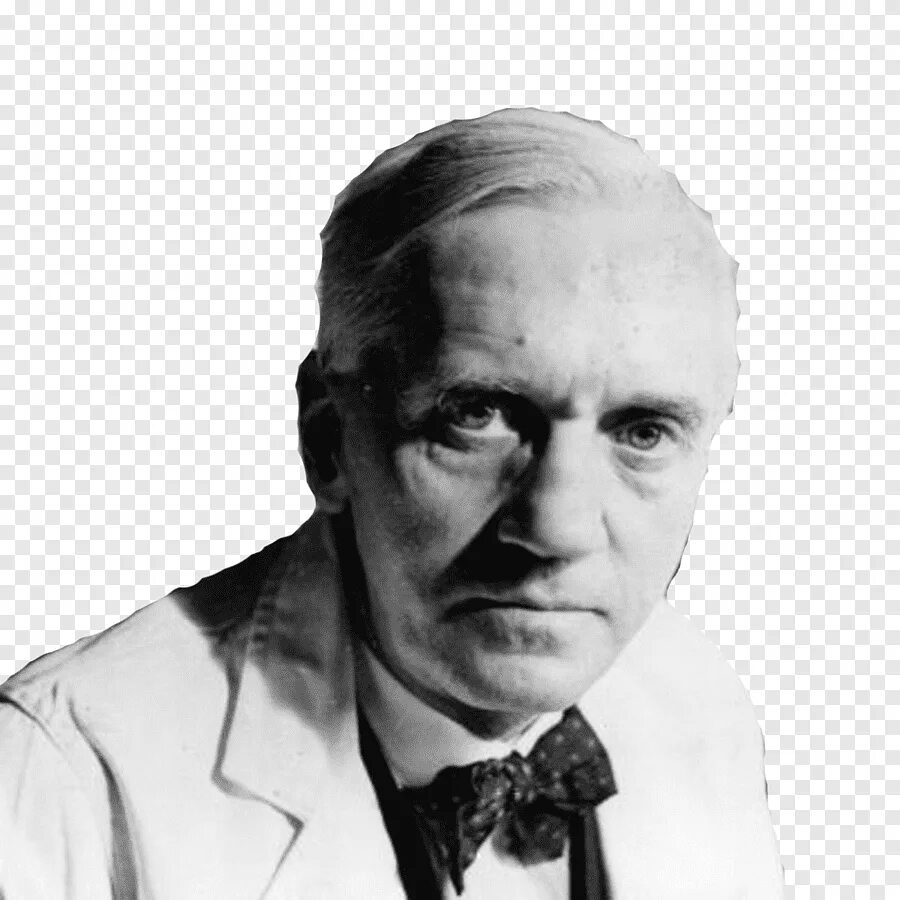 Александр флеминг (1881-1955). Флеминг ученый. Alexander fleming. Александр флеминг пенициллин. Бактериолог александр флеминг.