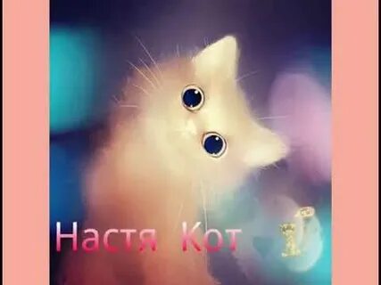 Коте настя