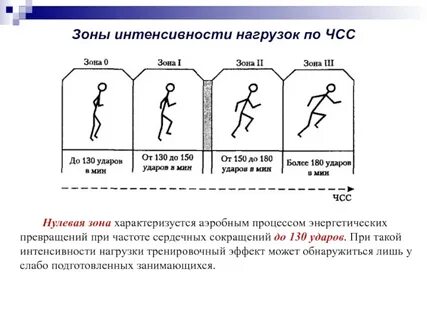 4 виды физической нагрузки