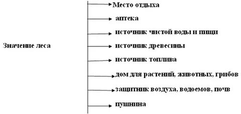 Заполни таблицу растения леса животные леса