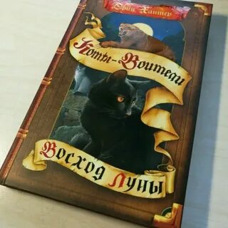 Восход луны аудиокнига коты