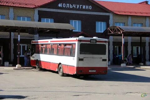 Автобусы кольчугино