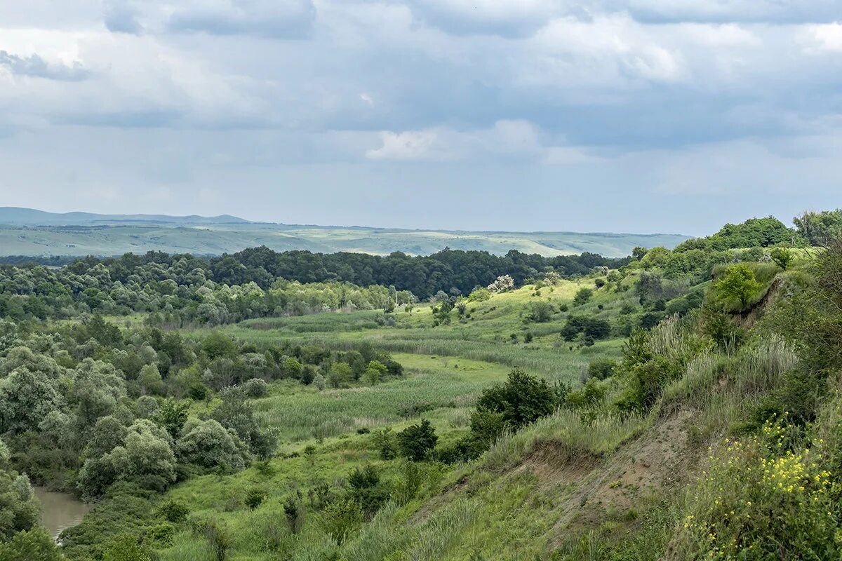 Станица николаевская краснодарский край