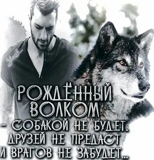 Друзья враги и предатели