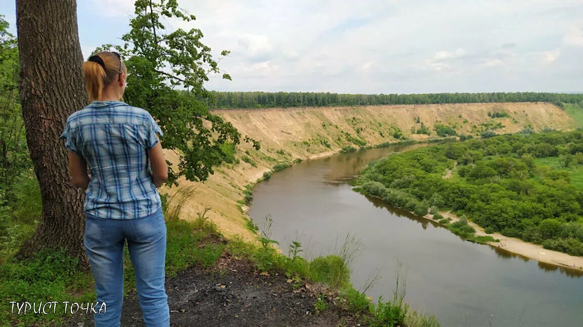 Кривоборье как доехать. Урочище кривоборье. урочище кривоборье воронежская. урочище кривоборье воронеж.