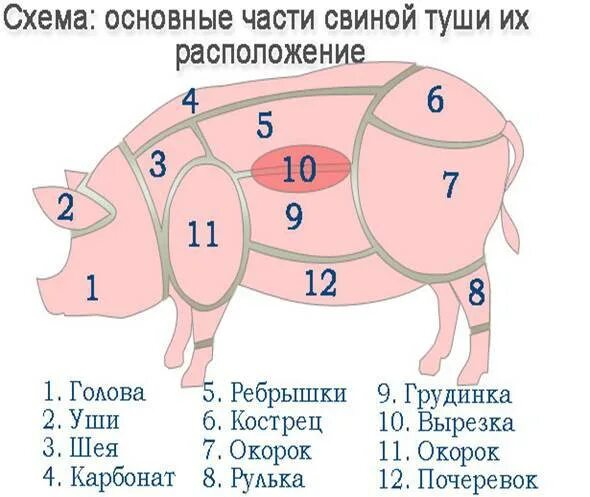Таблица разделки свиной туши. Схема розничной разделки свиной туши. Схема обработки свиной туши. Схема разделки свиньи балык. Названия частей свиньи
