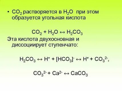 Co это кислота