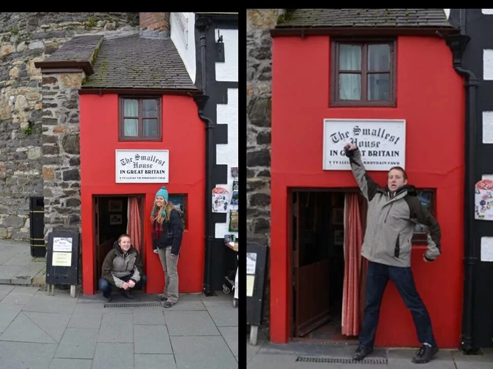 Самая маленькая 1070. Хамелеон малая брукезия. Уэльс самый маленький дом англии конуи. Самый маленький дом в англии. The smallest house in great britain внутри.