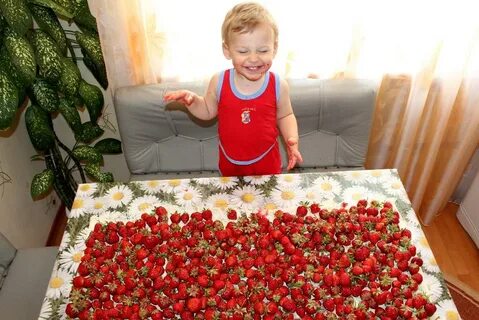 Со скольки можно клубнику ребенку свежую месяцев