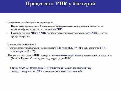 Процессинг первичного транскрипта