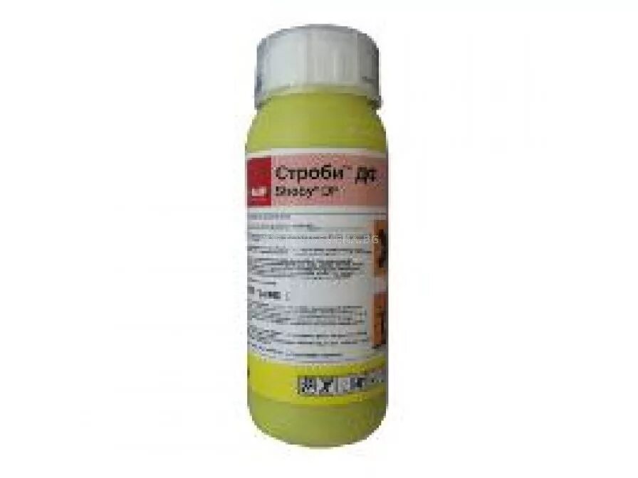 Строби форум. Строби basf. фунгицид строби (basf). строби 2 г. уголки строби.