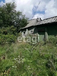 Сот 37