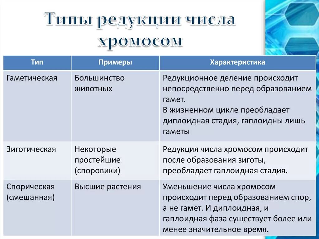 Редукция числа хромосом происходит во время. Редукция числа хромосом. Оедукция числв хромомои. Типы редукции числа хромосом. Виды редукции биология.