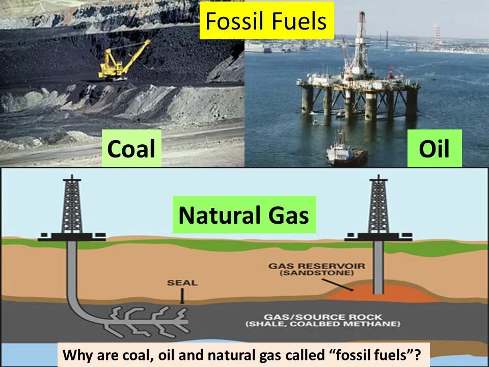 Fossil gas. Fossil fuels. Fossil oil. Fossil fuels are. Fossil fuels.