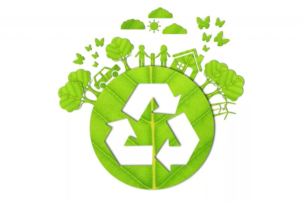 Эмблема экологии. Экологичные привычки. Экология. Экологический логотип.