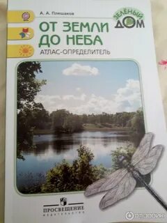 От земли до неба слюда