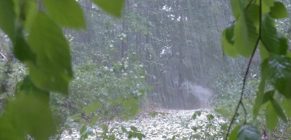 Сильный дождь. Явления природы дождь. Дождь летом. Град (осадки).