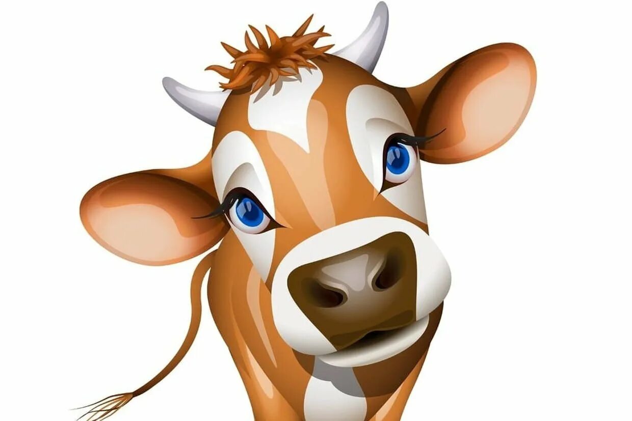 Голова коровки. Мультяшные коровы. Мордочка коровы. Корова мультяшная. Корова для детей.