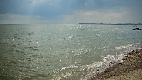 Вода в море таганрог