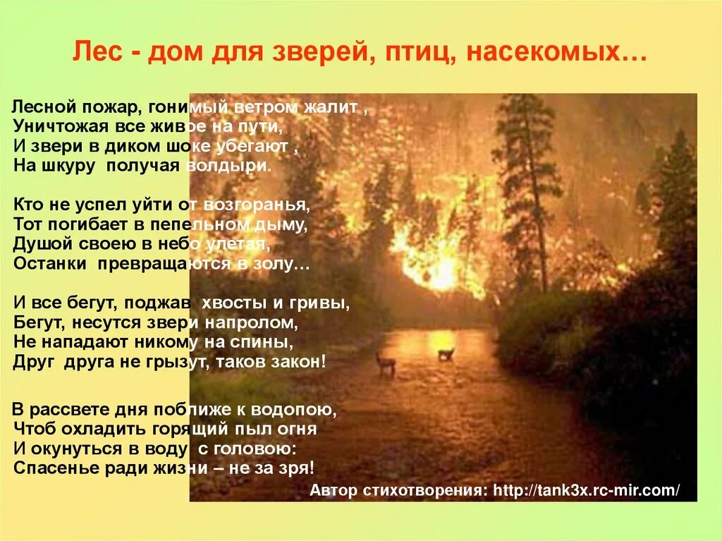 Лесной дом текст. Стихотворение Лесной пожар. Стихи про Лесные пожары. Лесные пожары текст. Стихотворение о пожаре в лесу для детей.