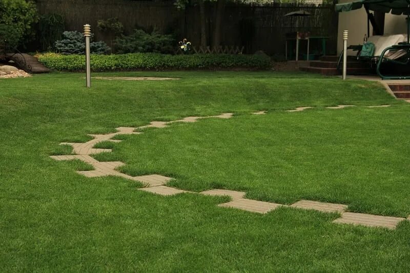 Дорожка на газоне. Рулонный газон готовый сайт. Тротуарная плитка на газоне. Покрытие искусственная трава 7мм. Газон с41а23.