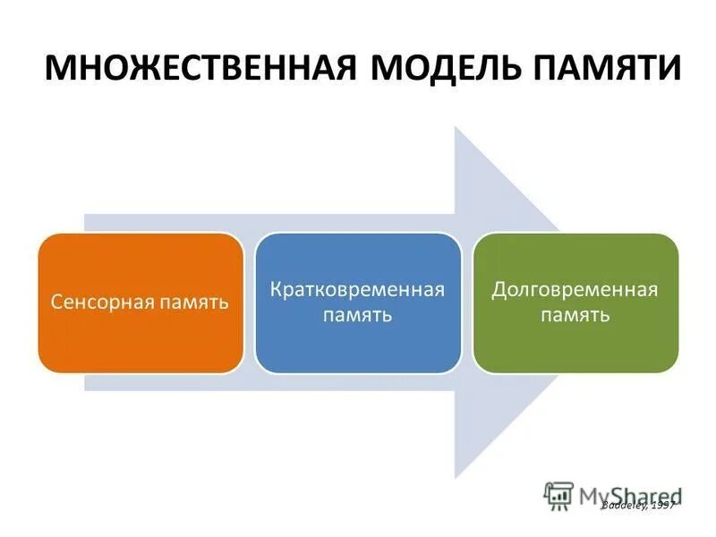 Сенсорный тип памяти. Сенсорная кратковременная и долговременная память. виды памяти сенсорная кратковременная долговременная. модели памяти человека. модели памяти в когнитивной психологии.