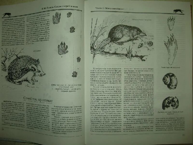 Книга следы зверей и птиц. Книга следы зверей и птиц. М следы зверей и птиц. Справочник следов животных. Следы животных.