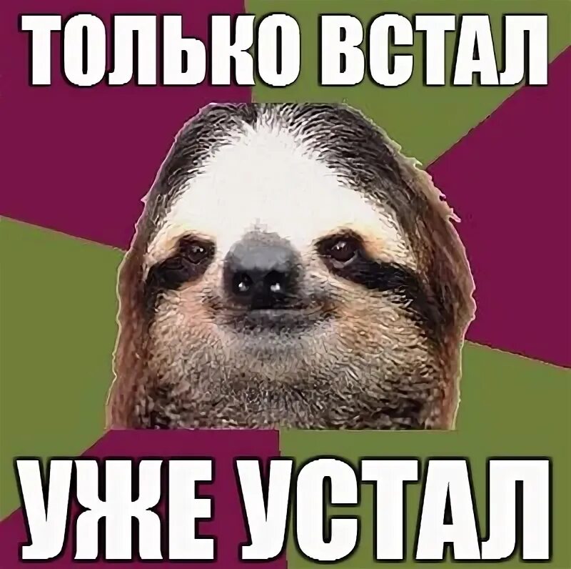 Только встала уже устала реклама. Только встала уже устала. только встал уже устал. встал и уже устал картинки. только встала уже устала картинки.
