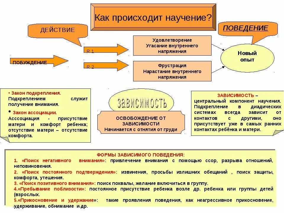особенности научения. научение возрастная психология. психологическое развитие отождествляется с научением. основные понятия в психологии развития и возрастной психологии. открыл явление условно-рефлекторного научения.