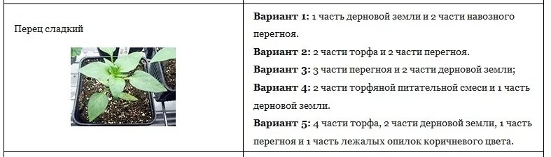 Земля для рассады перца какая лучше. Пропорции грунта для рассады. земля для рассады состав пропорции. пропорции подготовки почвы для рассады. соотношение торфа и земли для рассады.