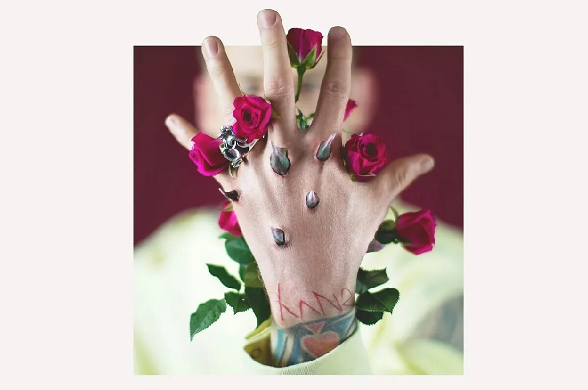 Machine Gun Kelly Bloom. Machine Gun Kelly 2017. MGK album Cover. Machine Gun Kelly обложка. Mgk let me go