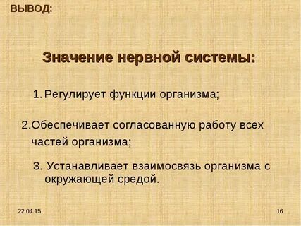 Значение нервной системы в жизнедеятельности организма