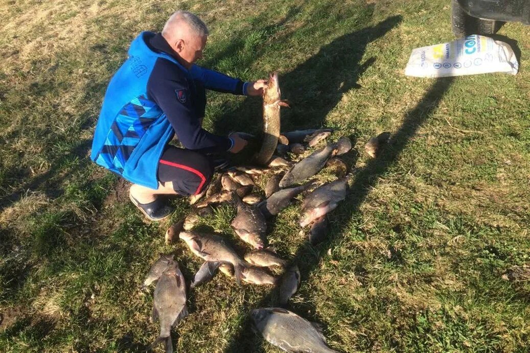 Учинское водохранилище рыбалка. Рыбинское водохранилище рыбалка. Рыба Учинского водохранилища. База Медведица на Рыбинском водохранилище. Русское водохранилище рыбалка